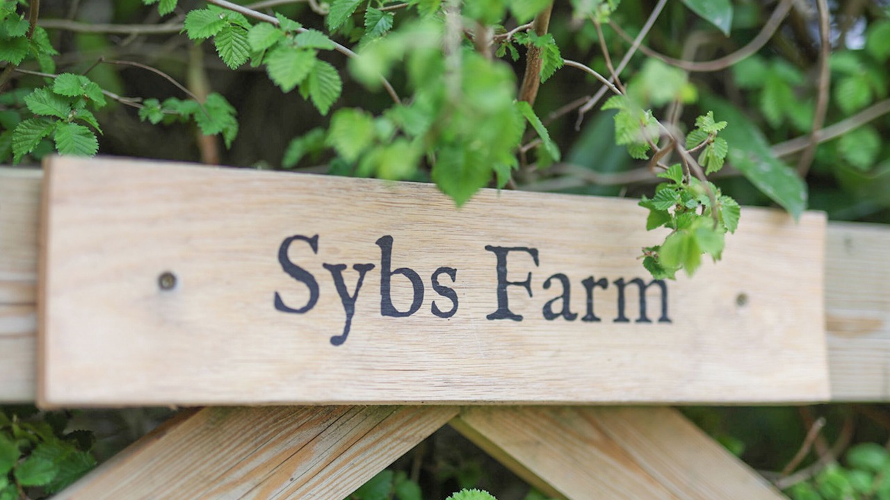 Photo of Outdoor in Lickfold