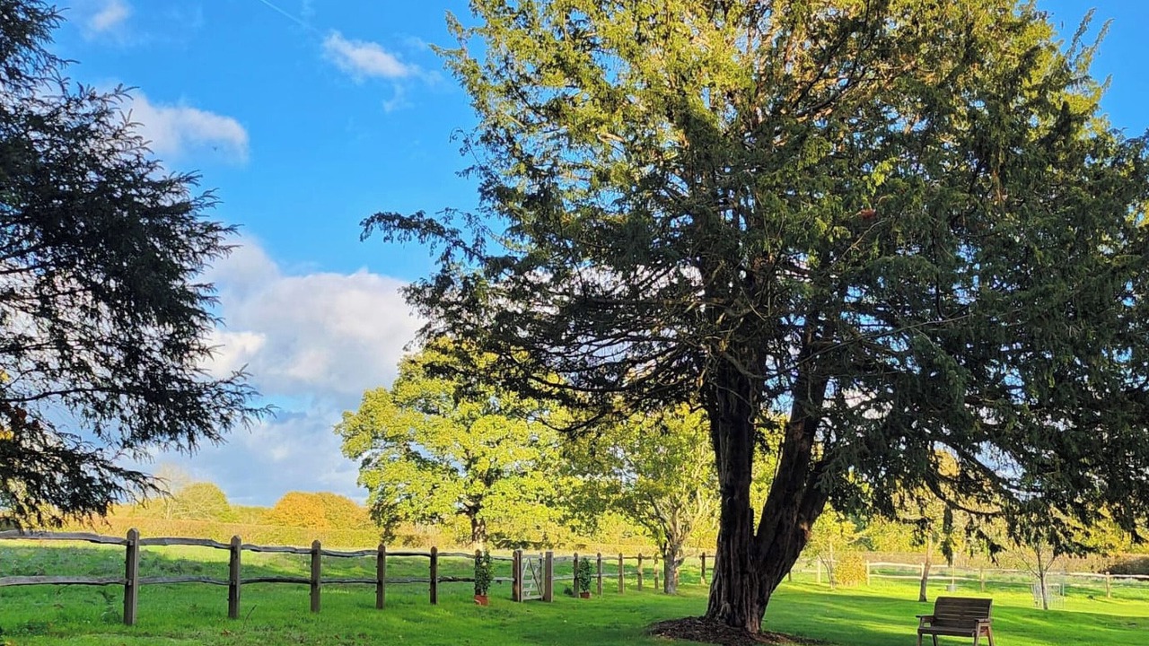 Photo of Outdoor in Lickfold