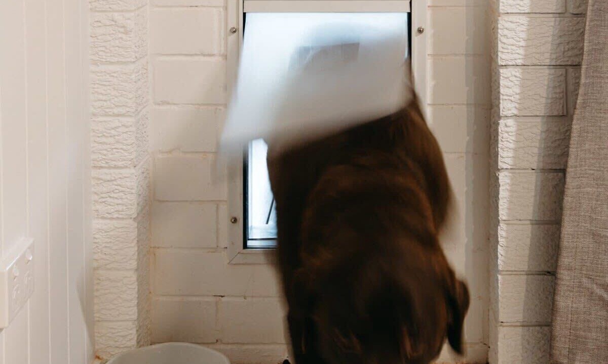 Photo of Others in Moffat Beach