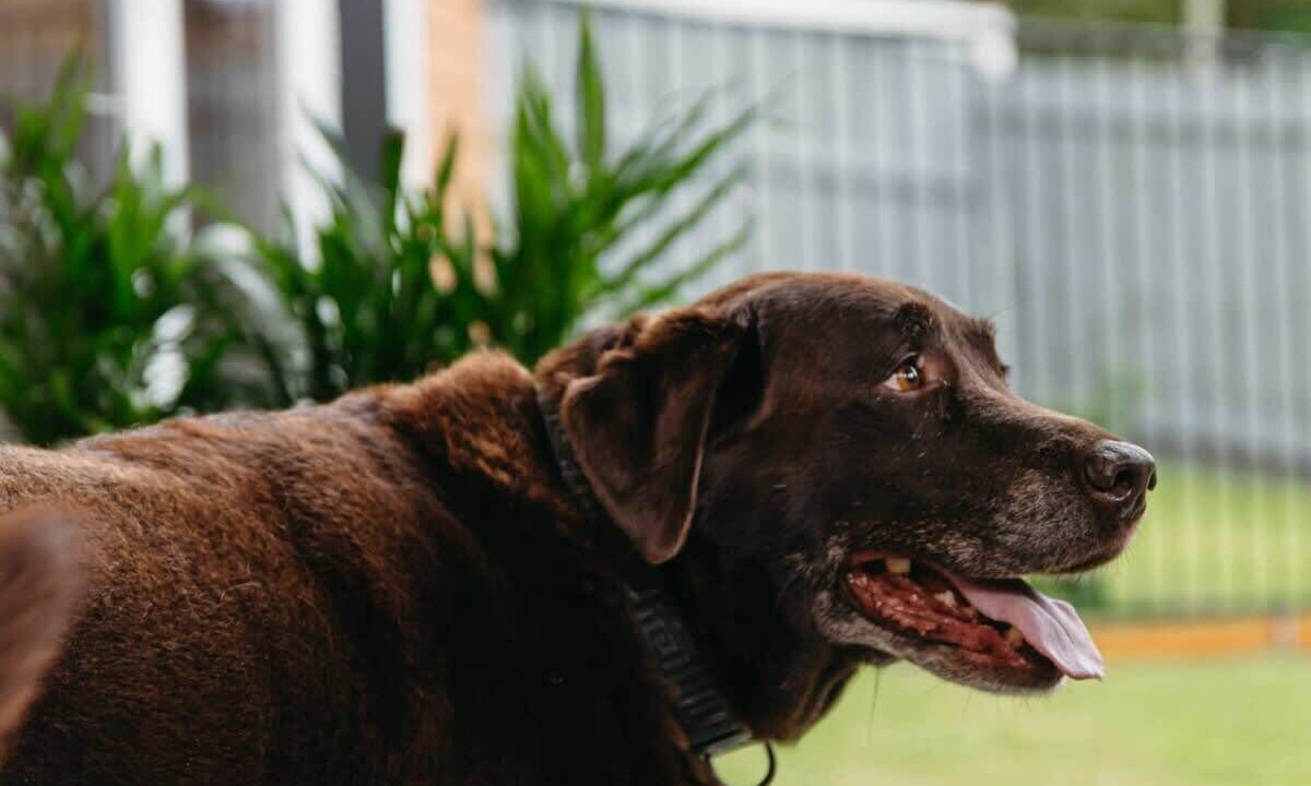 Photo of Others in Moffat Beach