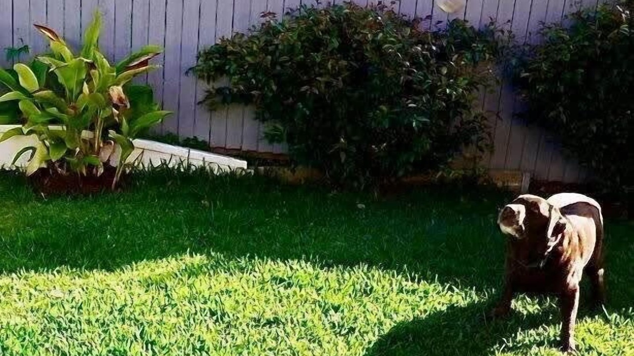 Photo of Others in Moffat Beach