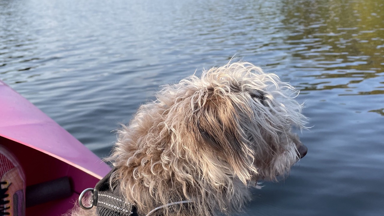 Photo of Others in Roscoe