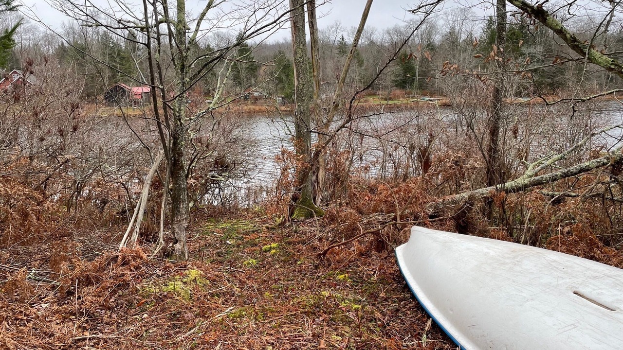 Photo of Outdoor in Roscoe