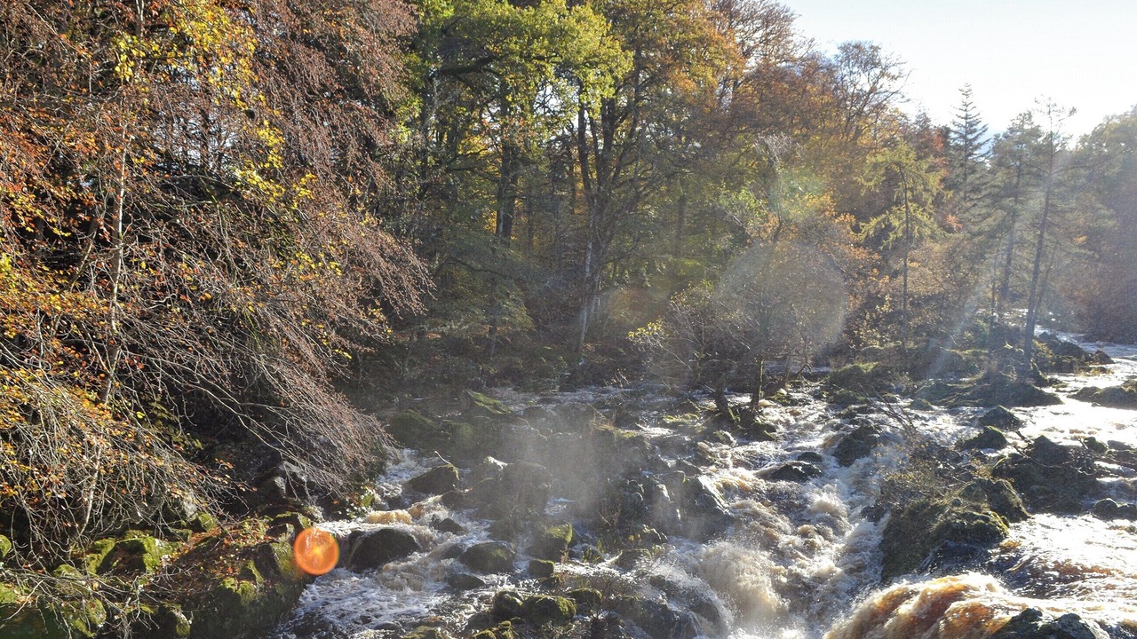 Photo of Others in Banchory