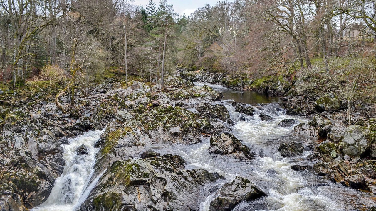 Photo of Others in Banchory