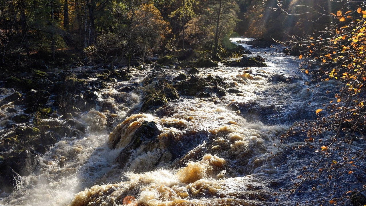 Photo of Others in Banchory