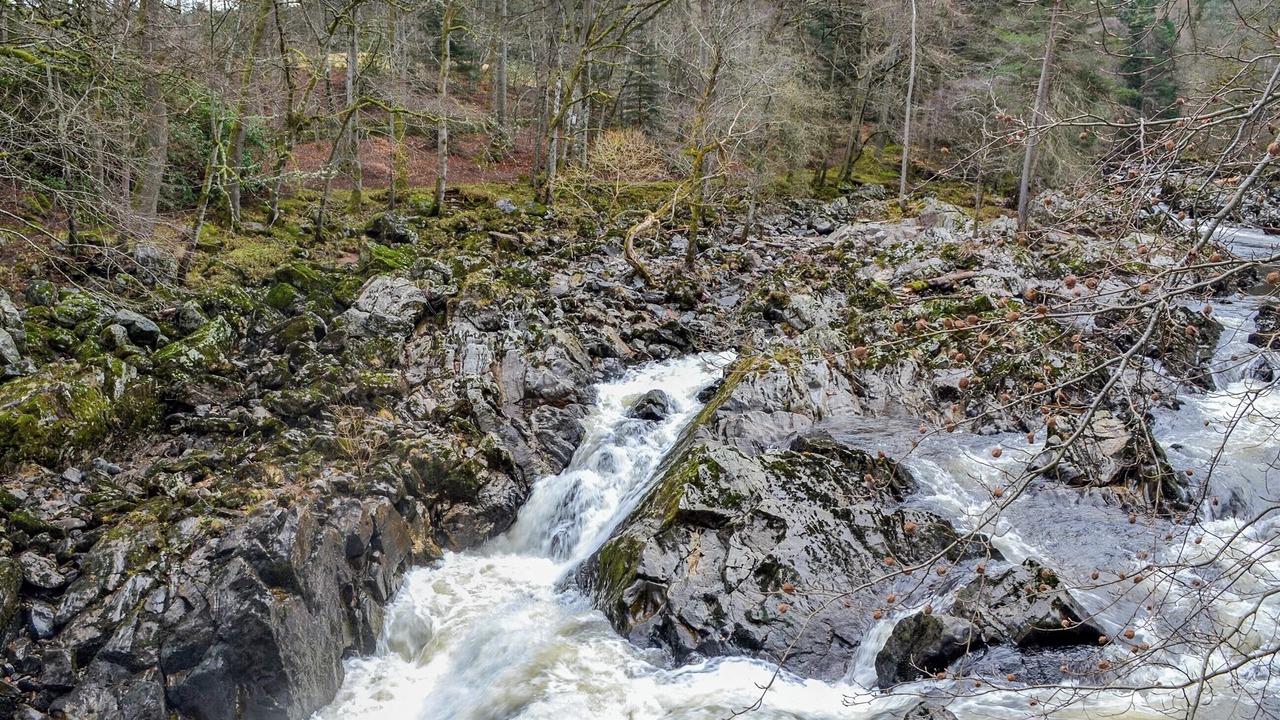 Photo of Others in Banchory