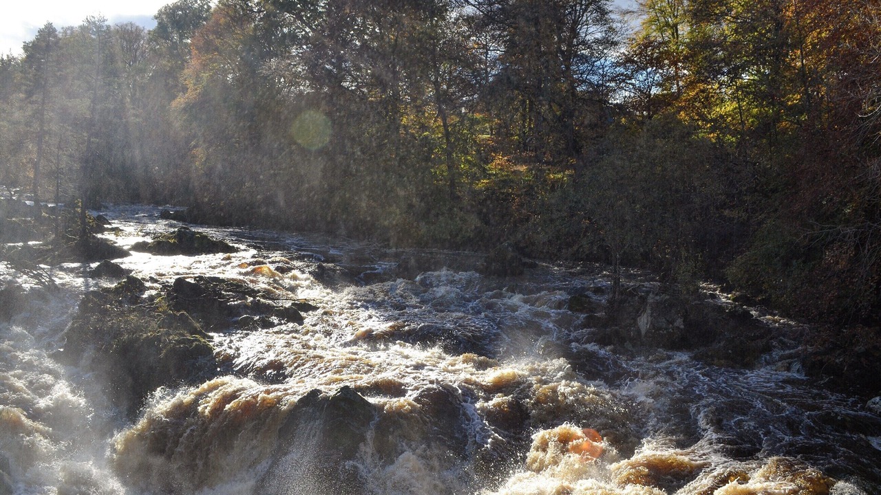 Photo of Others in Banchory