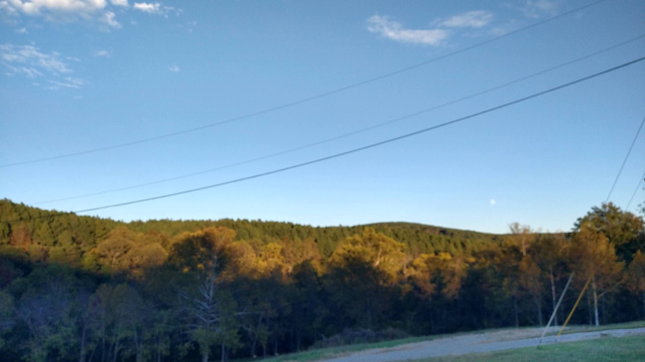 Photo of Outdoor in Piney Mountain
