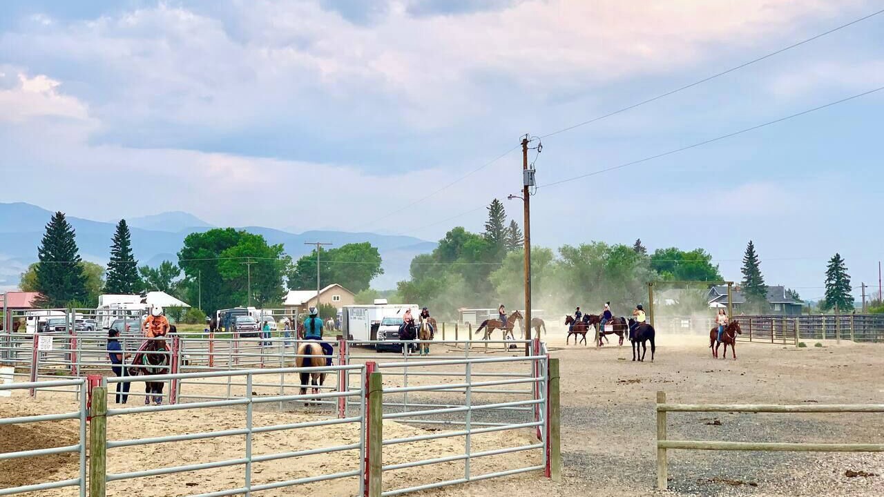 Photo of Others in Whitehall