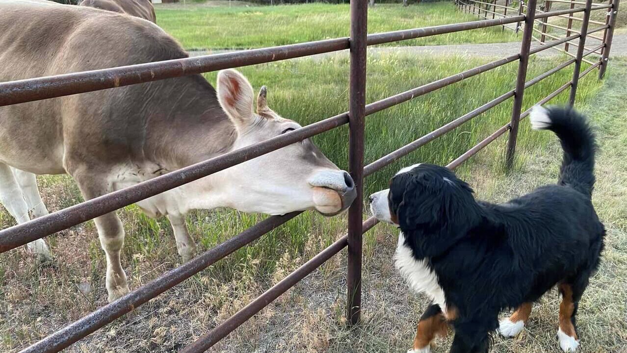 Photo of Others in Whitehall