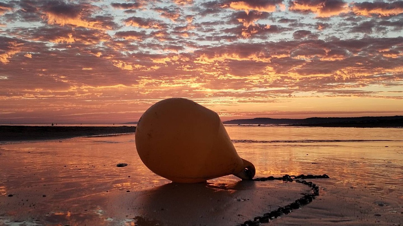 Photo of Others in Merville-Franceville-Plage