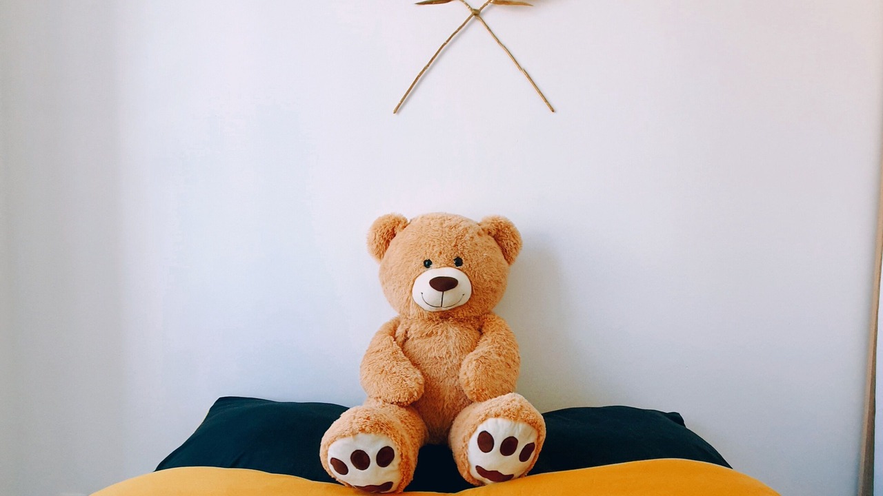 Photo of Bedroom in Bourges