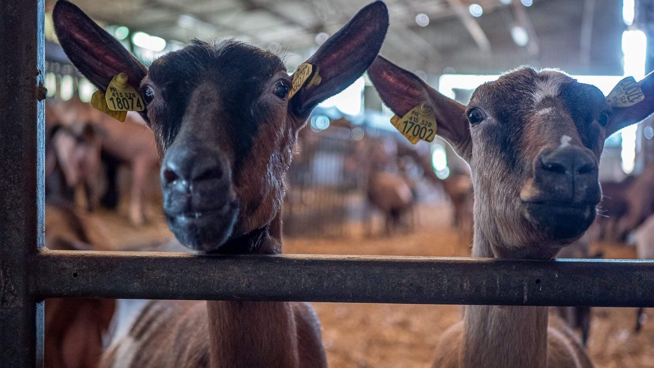 Photo of Others in Bourges