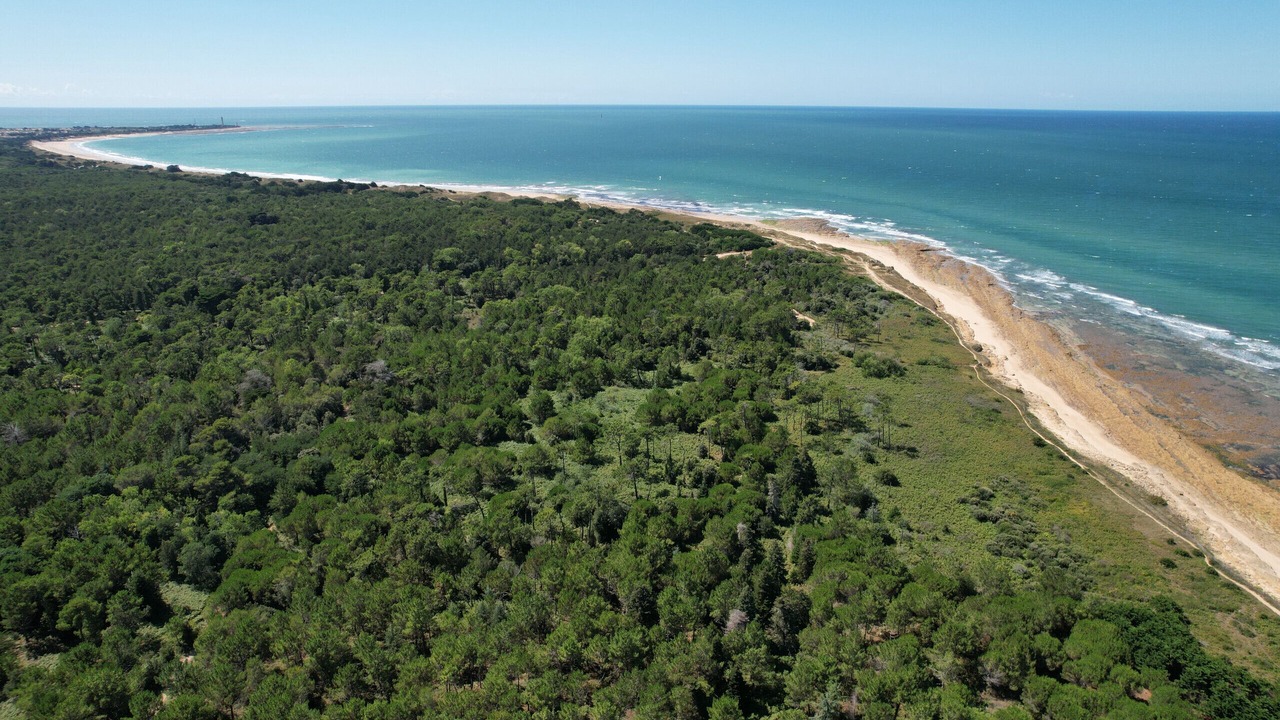 Photo of Others in Rivedoux-Plage