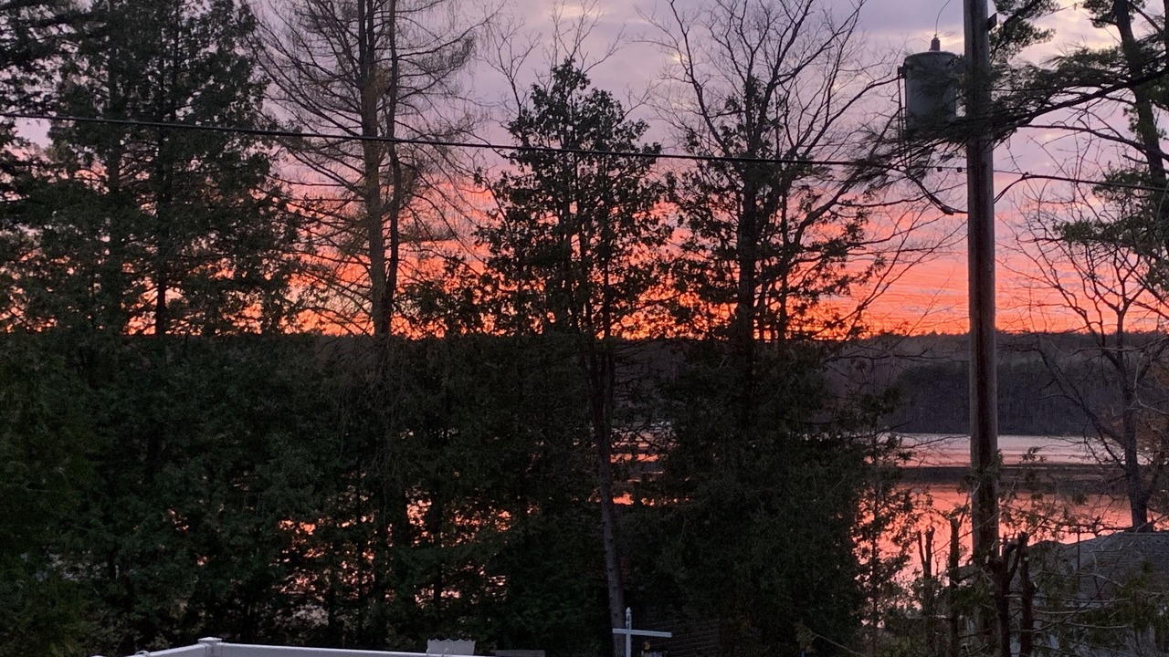 Photo of Outdoor in Tiny