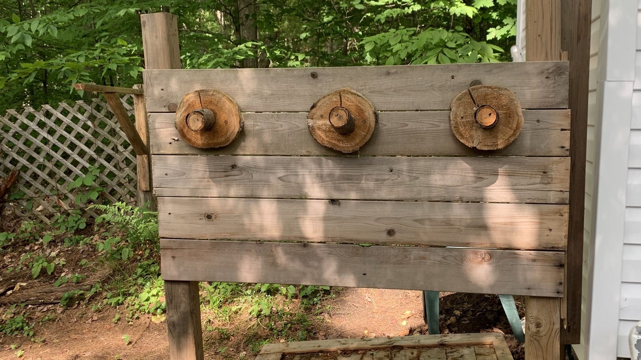 Photo of Outdoor in Tiny
