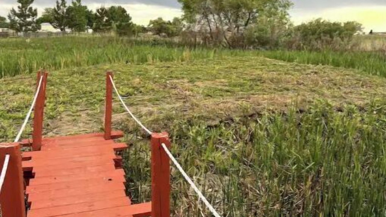 Photo of Outdoor in Longmont