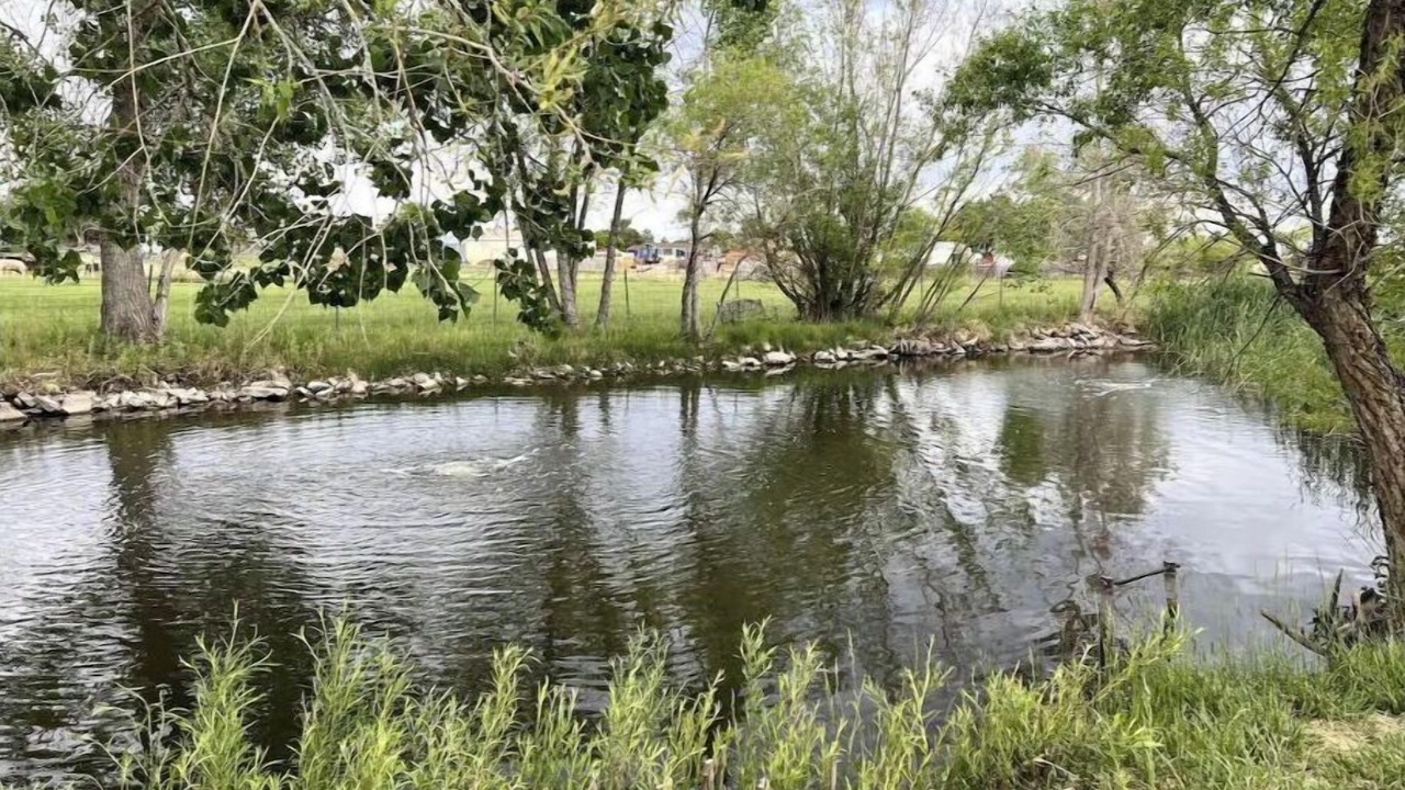Photo of Outdoor in Longmont
