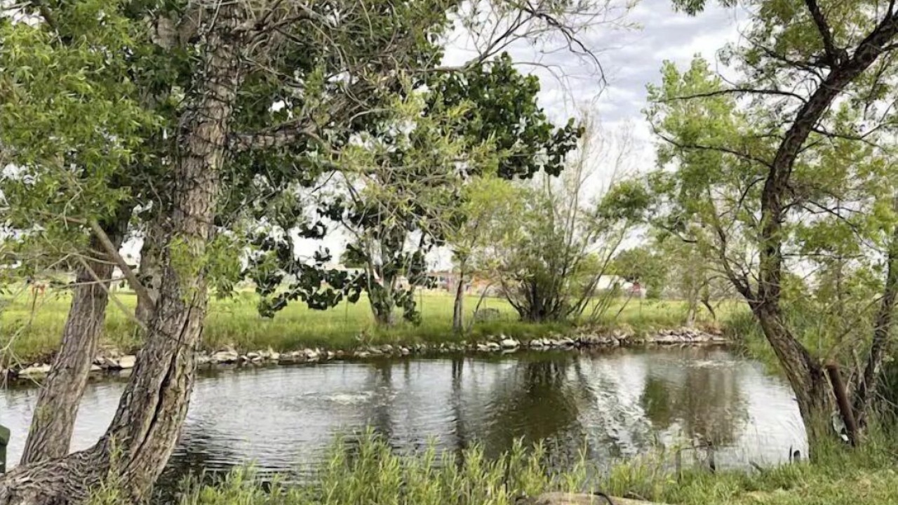 Photo of Outdoor in Longmont