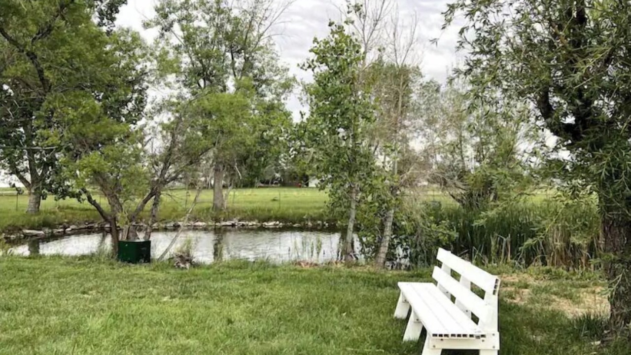 Photo of Outdoor in Longmont