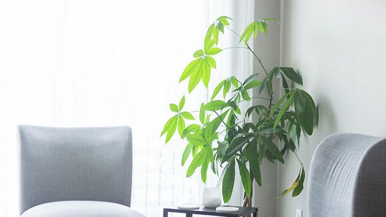 Photo of Others in Westerville