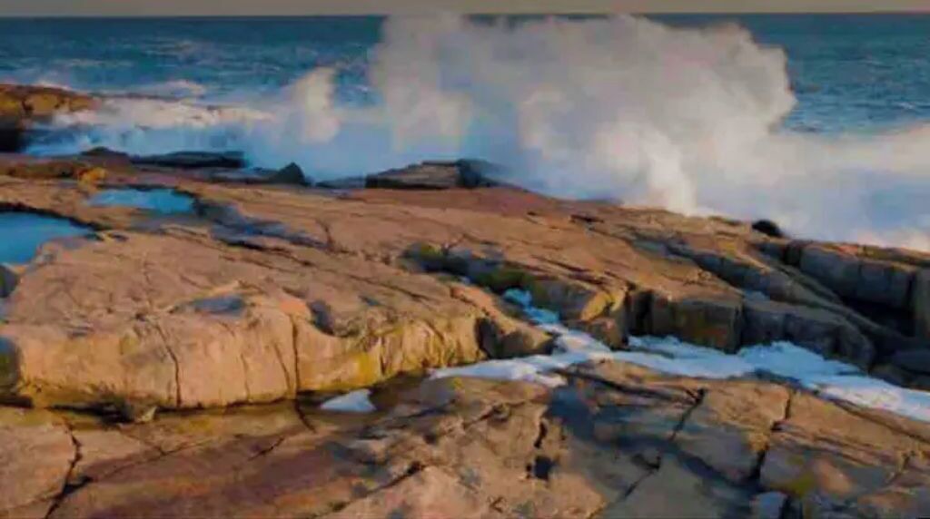 Photo of Others in Gouldsboro