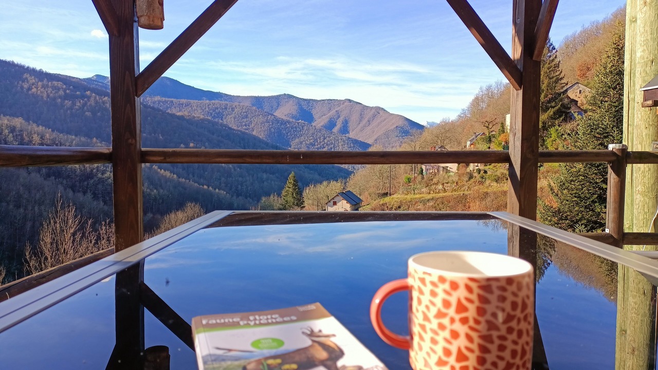 Photo of Outdoor in Massat
