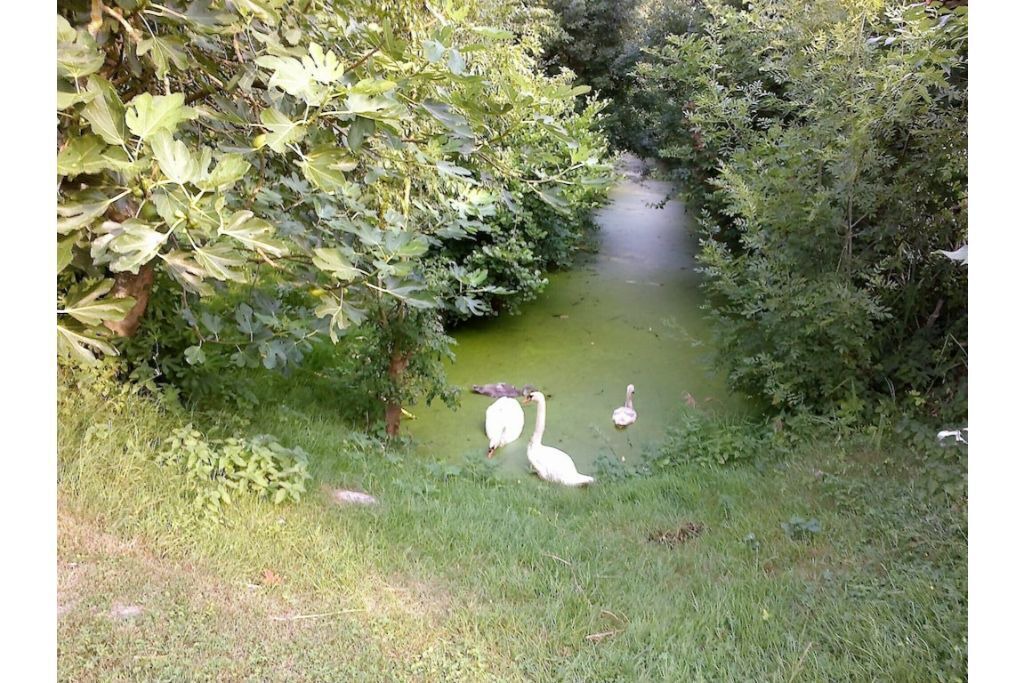 Photo of Outdoor in Maillezais