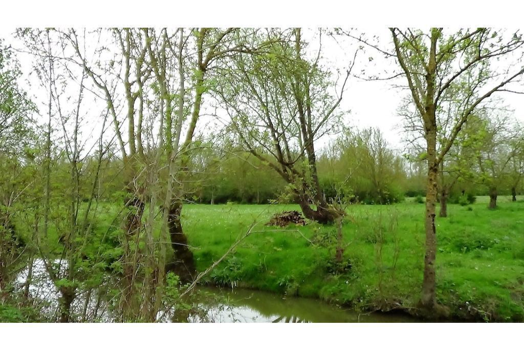 Photo of Others in Maillezais