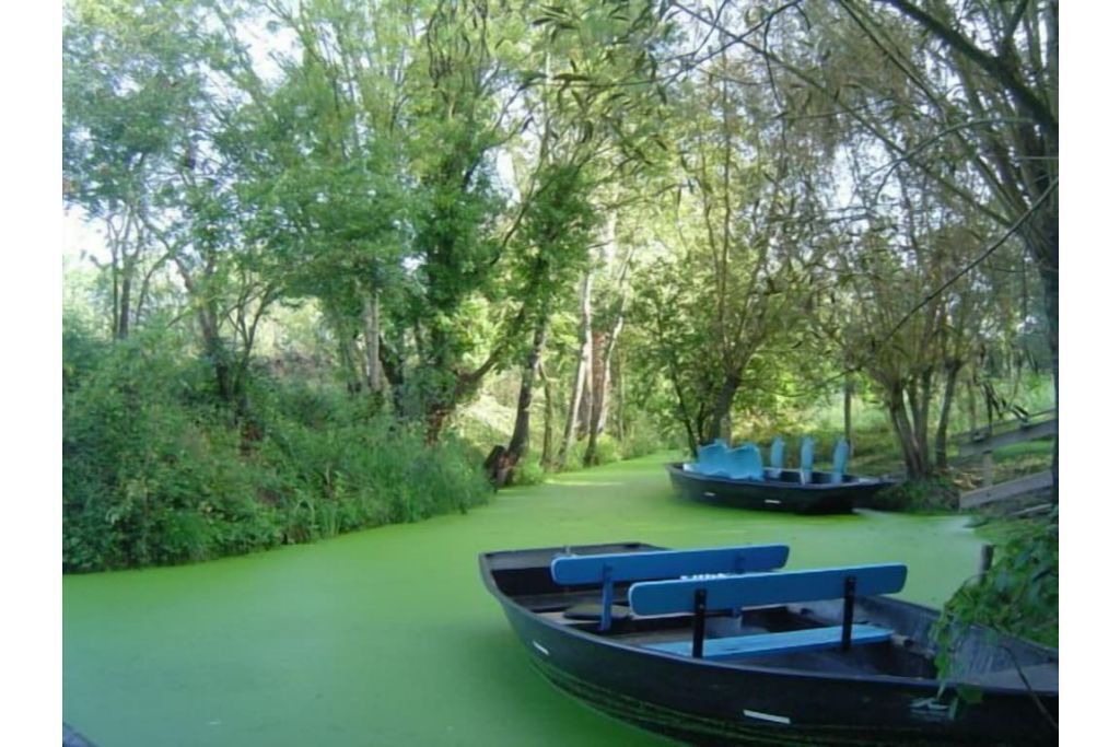 Photo of Outdoor in Maillezais