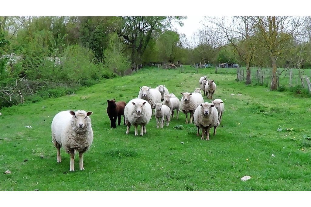 Photo of Outdoor in Maillezais