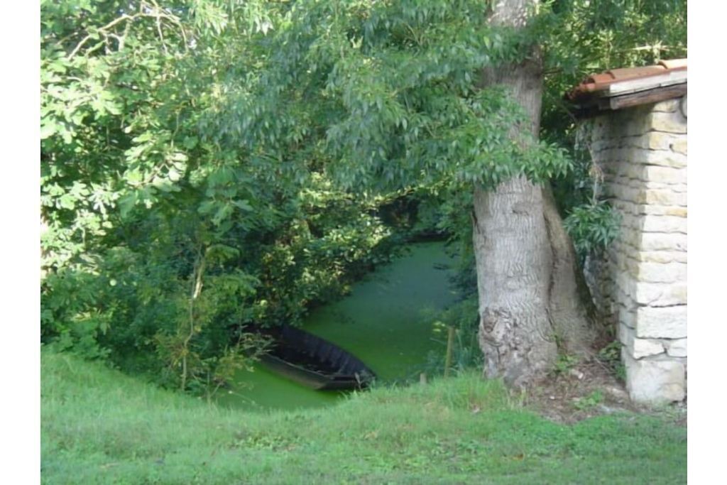 Photo of Outdoor in Maillezais