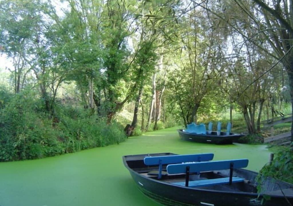 Photo of Outdoor in Maillezais