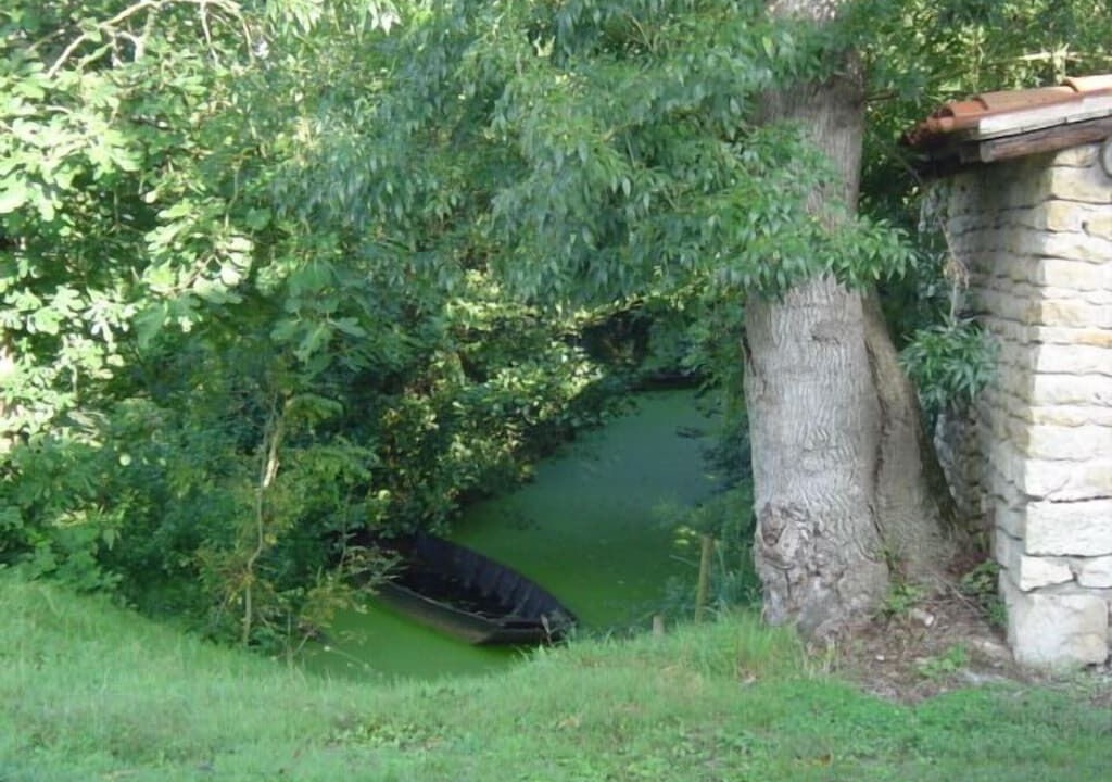 Photo of Outdoor in Maillezais