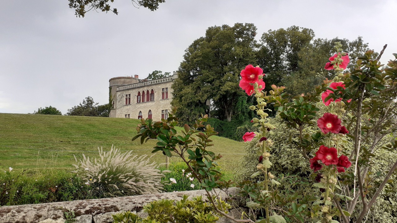 Photo of Outdoor in Maillezais