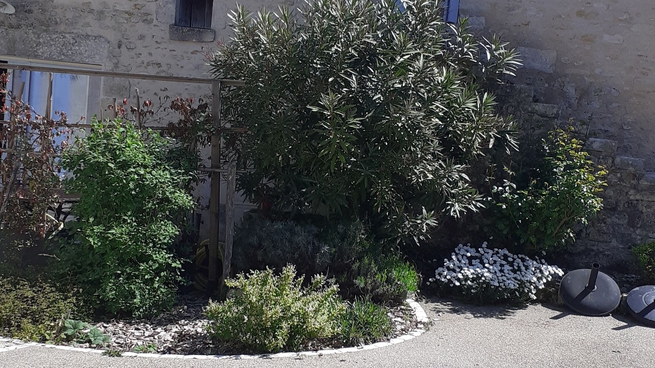 Photo of Outdoor in Maillezais