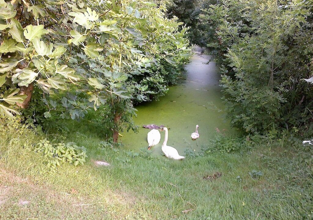 Photo of Outdoor in Maillezais