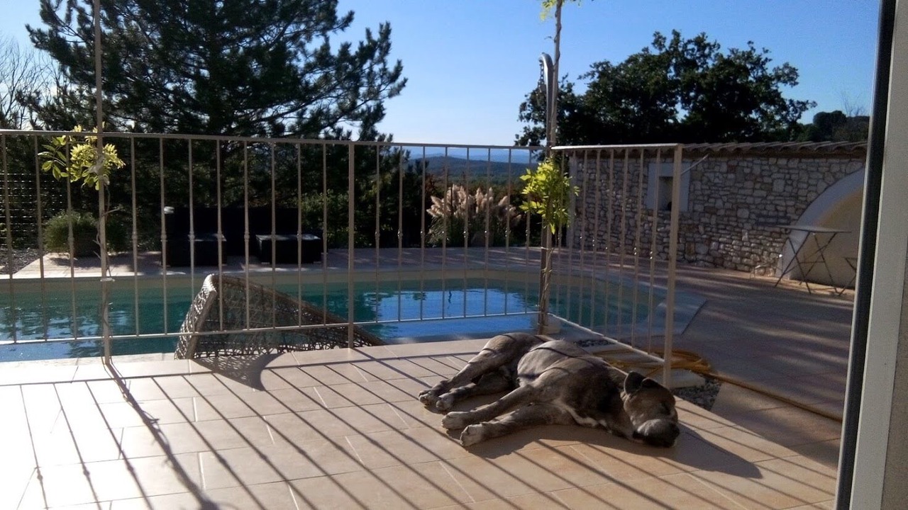 Photo of Outdoor in Cruviers-Lascours