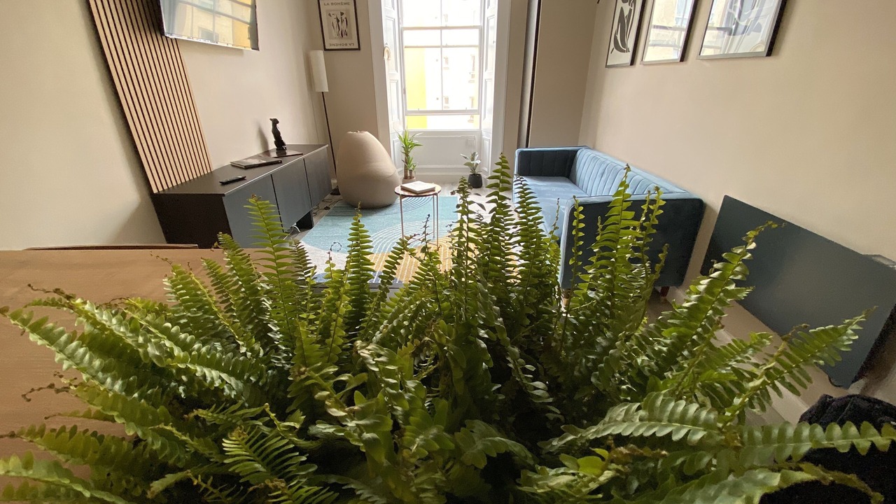 Photo of Others in Tollcross