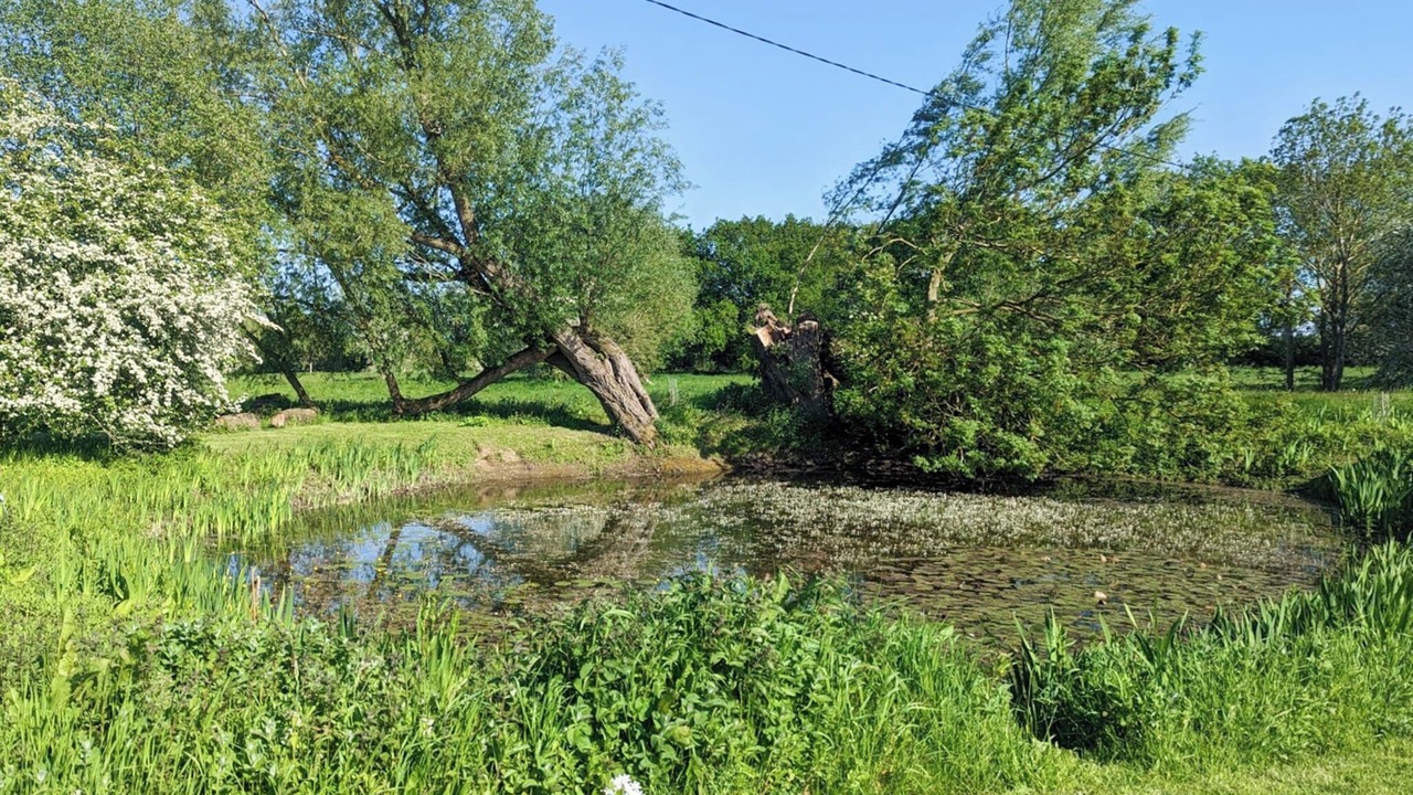 Photo of Outdoor in Wortham