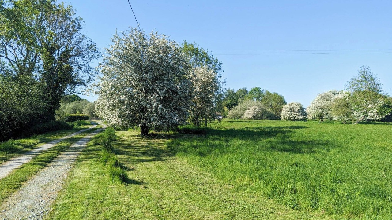 Photo of Others in Wortham