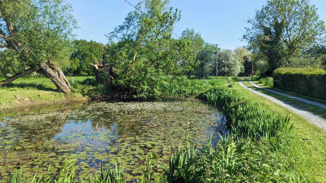 Photo of Outdoor in Wortham