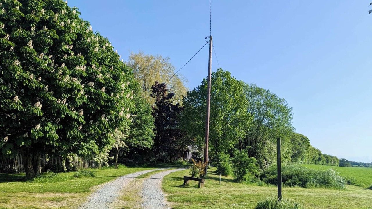 Photo of Others in Wortham