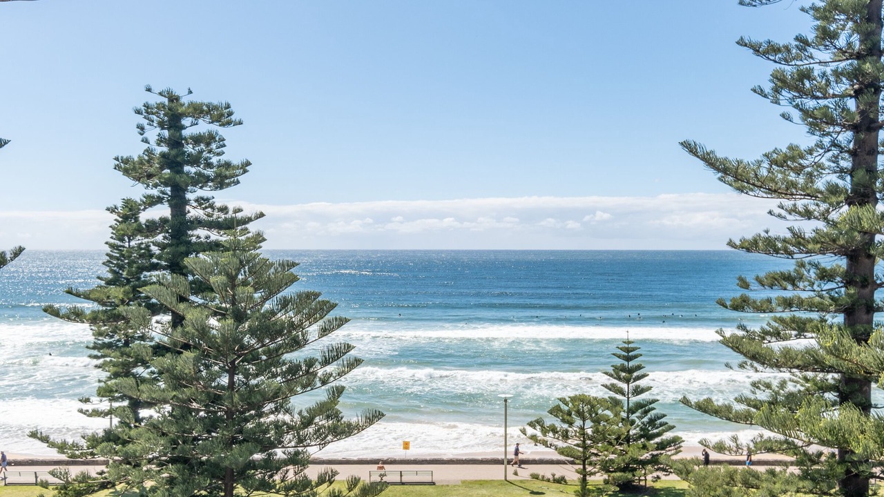 Photo of Others in Manly