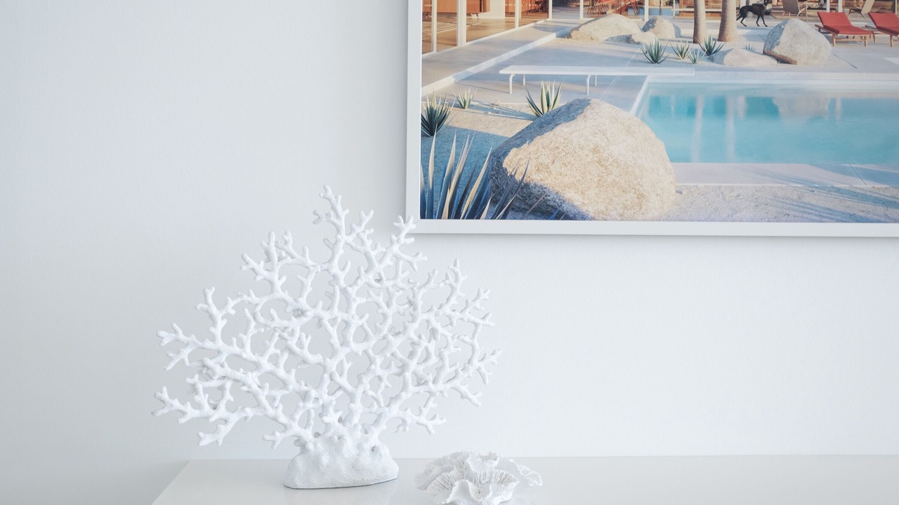 Photo of Others in Manly