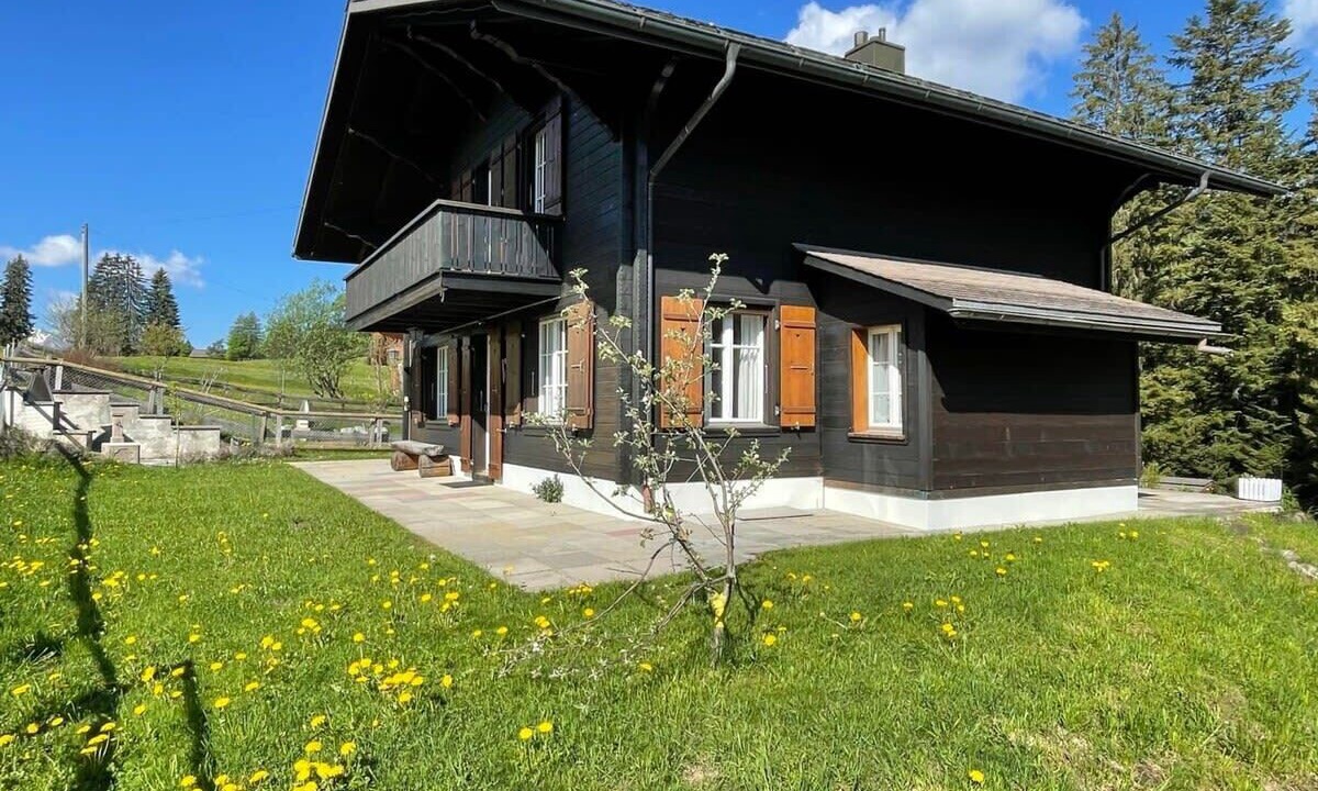 Photo of Outdoor in Saanenmoeser