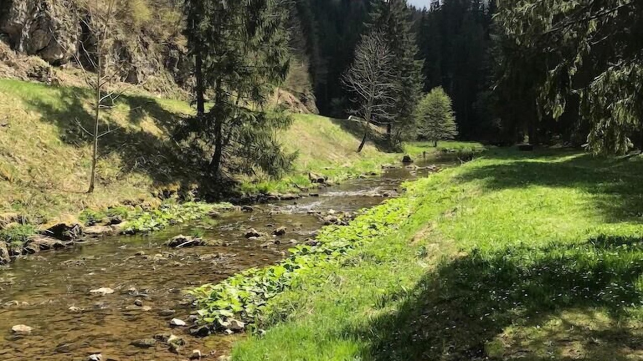 Photo of Bedroom in Meaudre