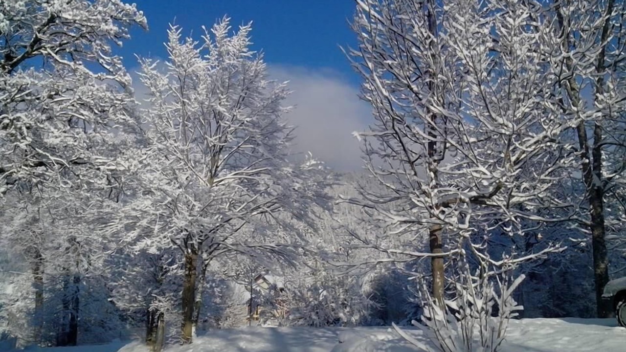 Photo of Others in Meaudre