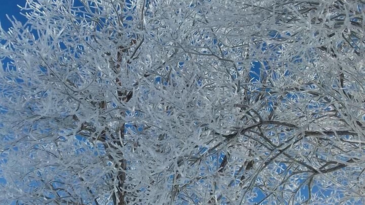 Photo of Others in Meaudre